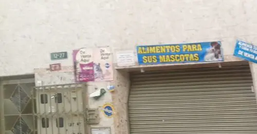 ALIMENTOS PARA SUS MASCOTAS ALIMENTOS PARA SUS MASCOTAS